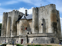 Donjon de Niort, Niort